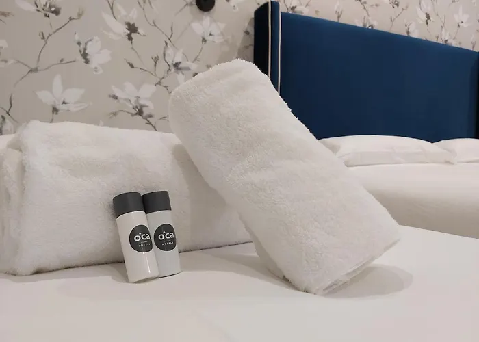 Hotel Oca Centro Burgo